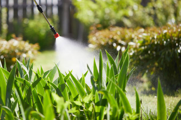 24/7 Emergency Mosquito Control experts in Anthem, AZ