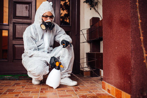 Reliable Mosquito Control contractor in Anthem, AZ by Nex Pest Control